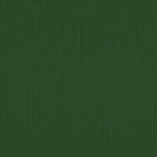 Downunder Direct 12x12 Cardstock - Emerald Isle