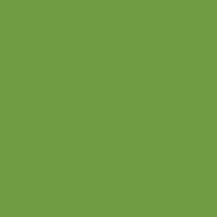 Kaisercraft Weave Cardstock  -Lime