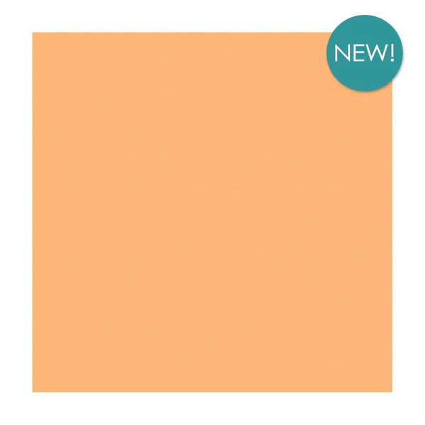 Colour Mates Smooth Cardstock -Desert Dune