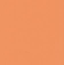 Colour Mates Cardstock - Caribbean Coral Smooth